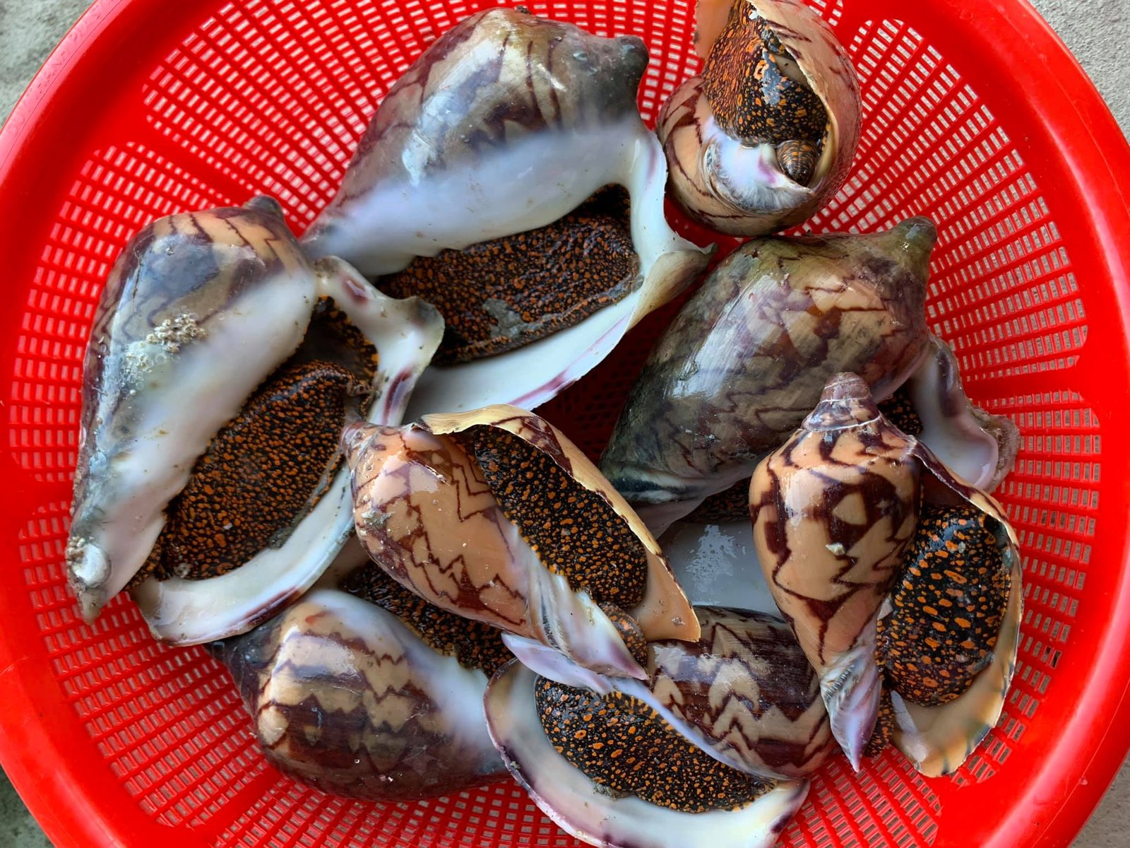 អាហារដ្ឋានស្រែអំបិលធម្មជាតិ