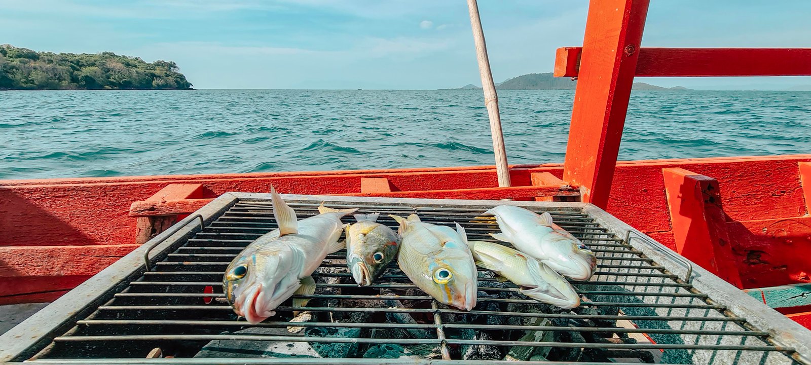 កម្សាន្តស្ទូចត្រីតាមសមុទ្រ