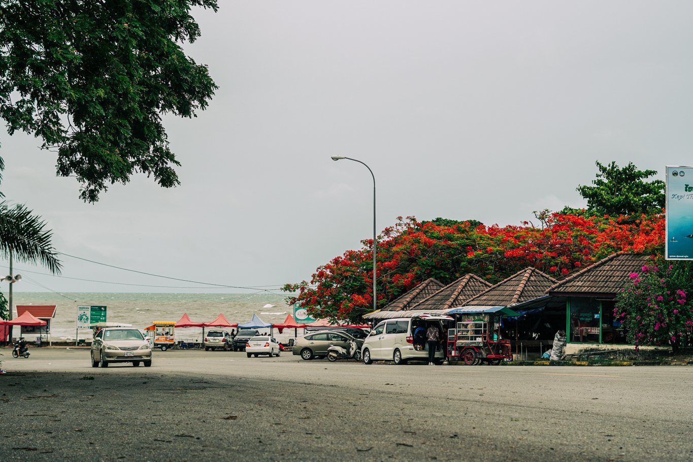 ផ្កាក្ងោកខេត្តកែប