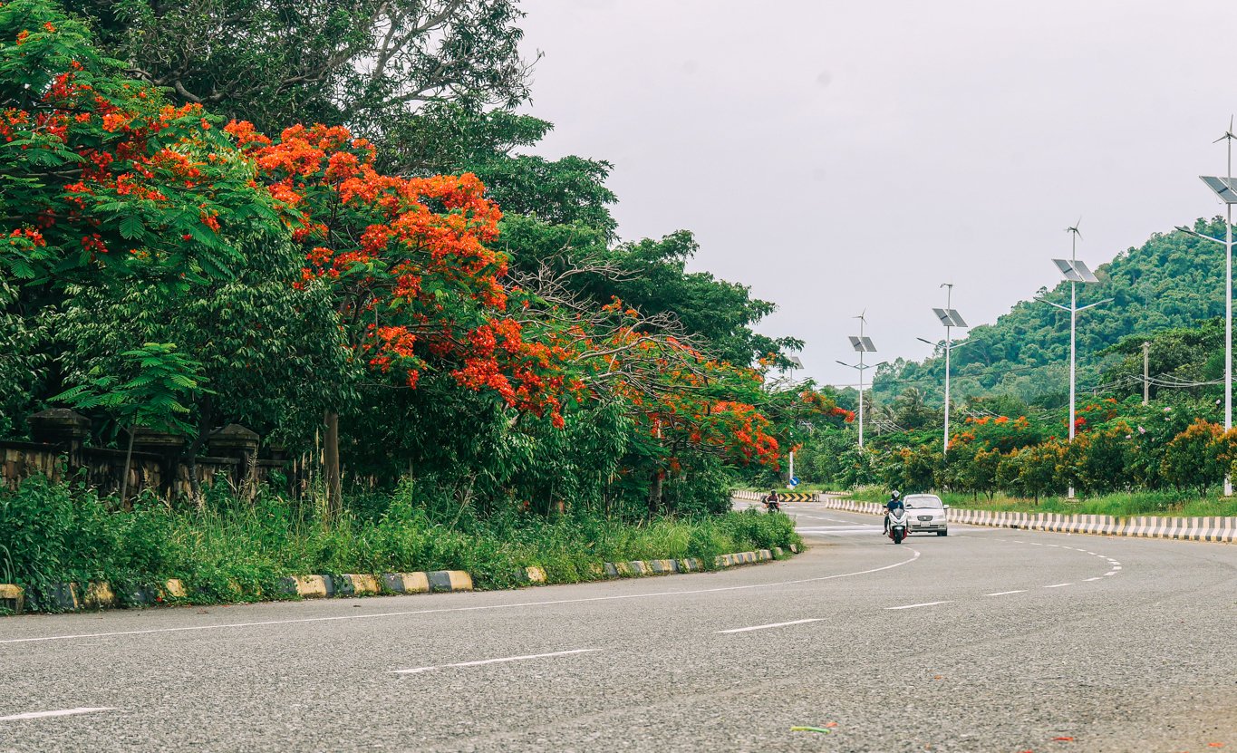 ផ្កាក្ងោកខេត្តកែប