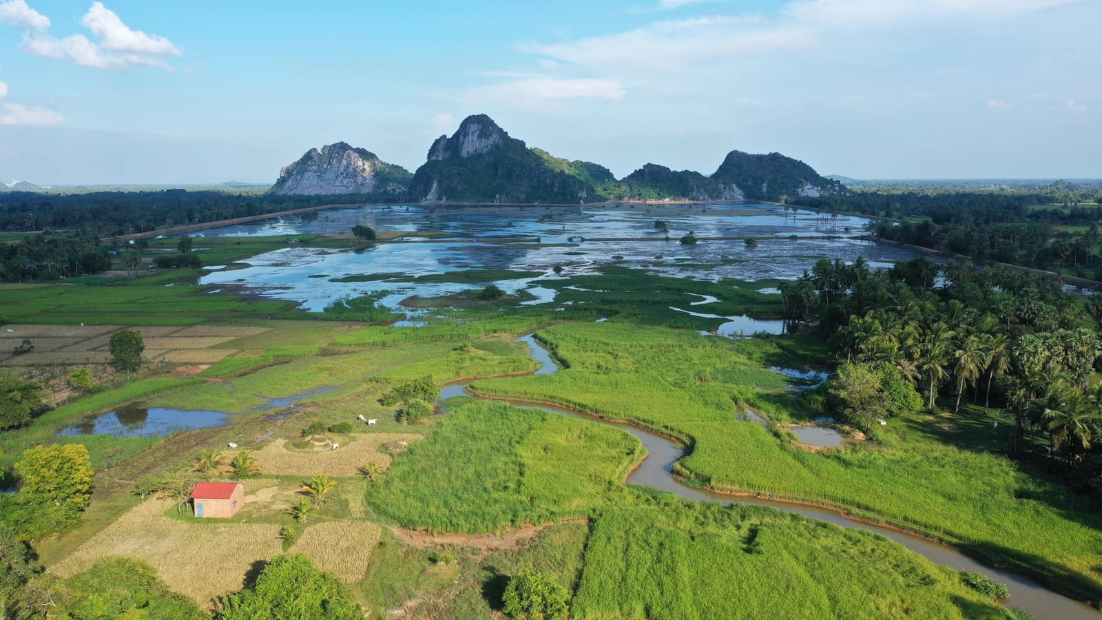 ភ្នំដំរី