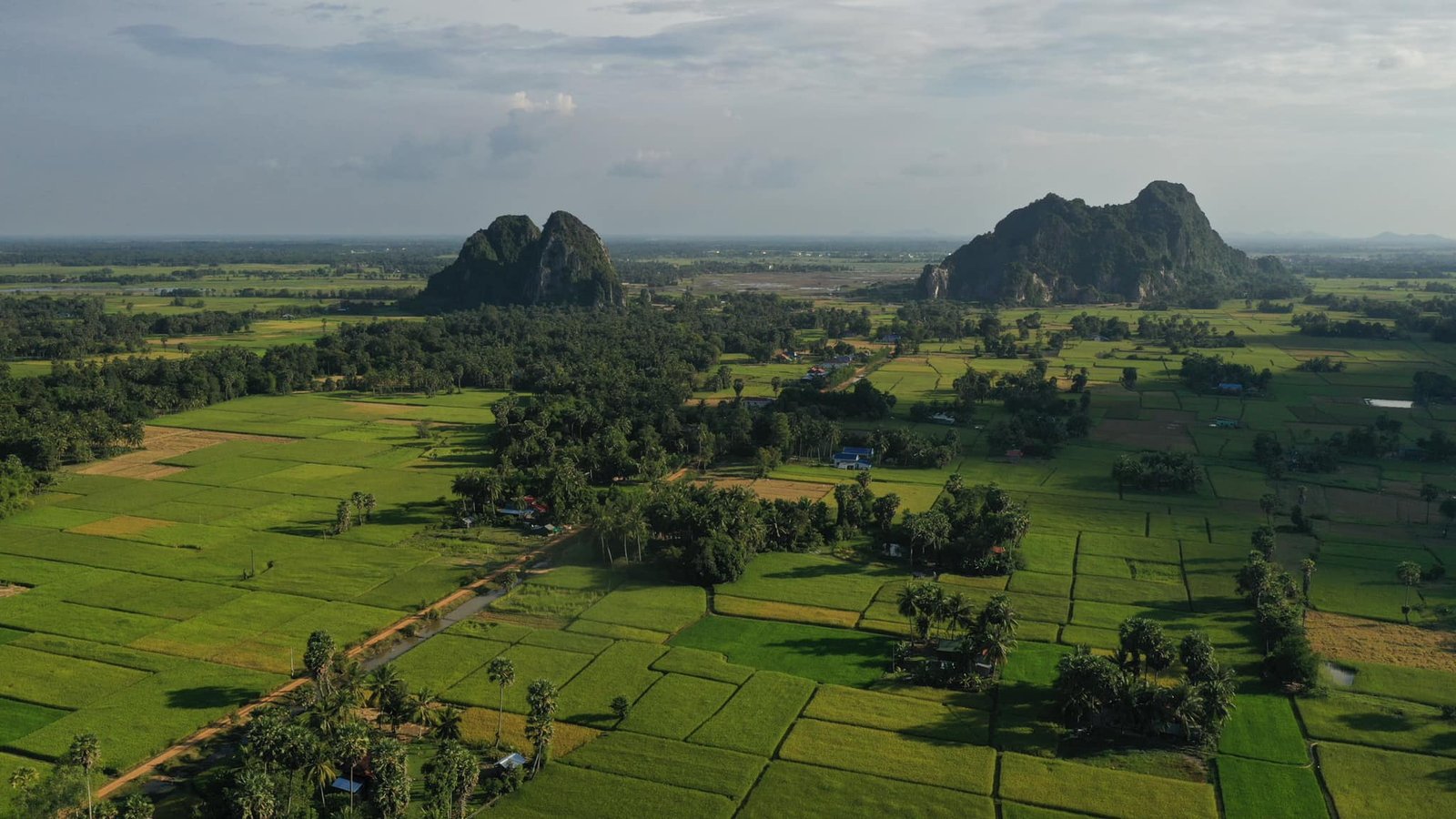 ភ្នំដំរី