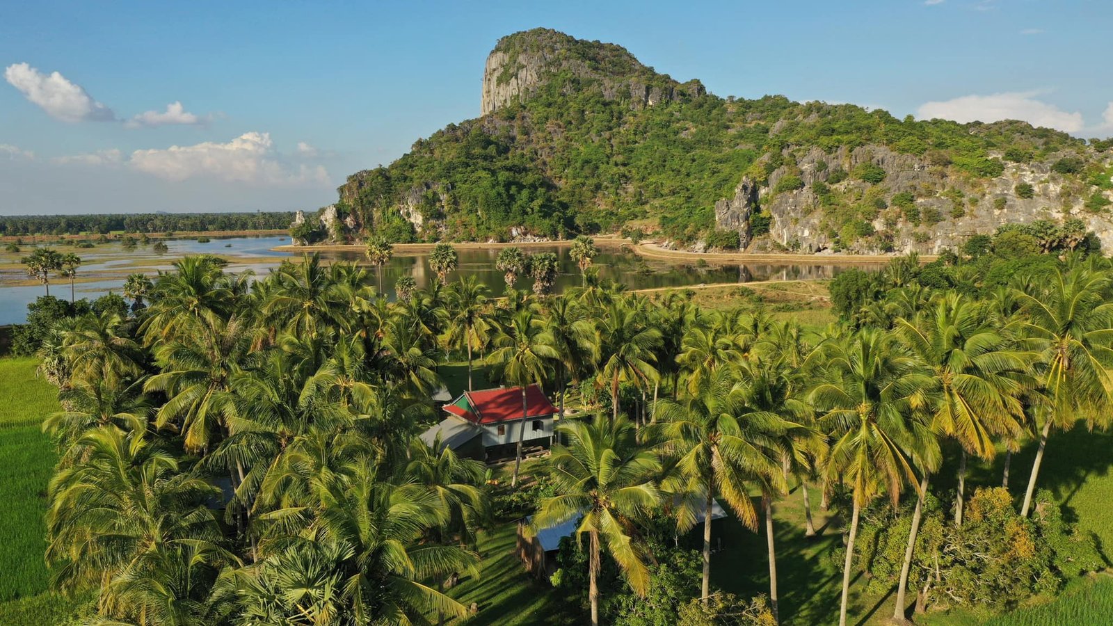 ភ្នំដំរី