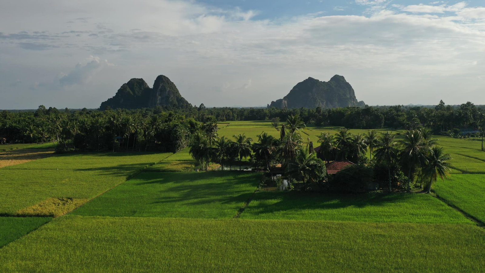 ភ្នំដំរី