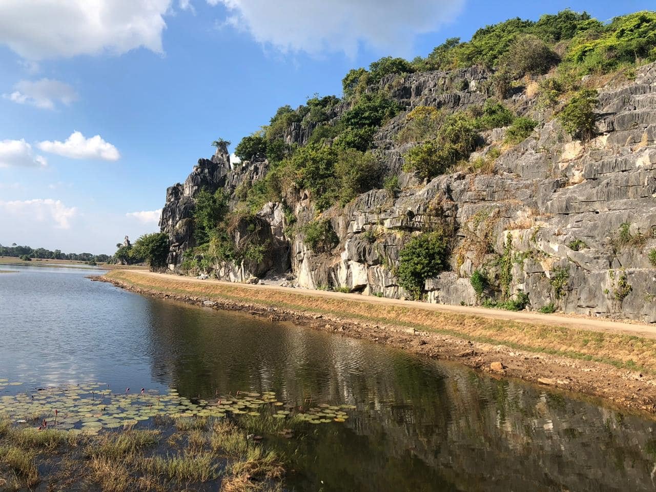 ភ្នំដំរី