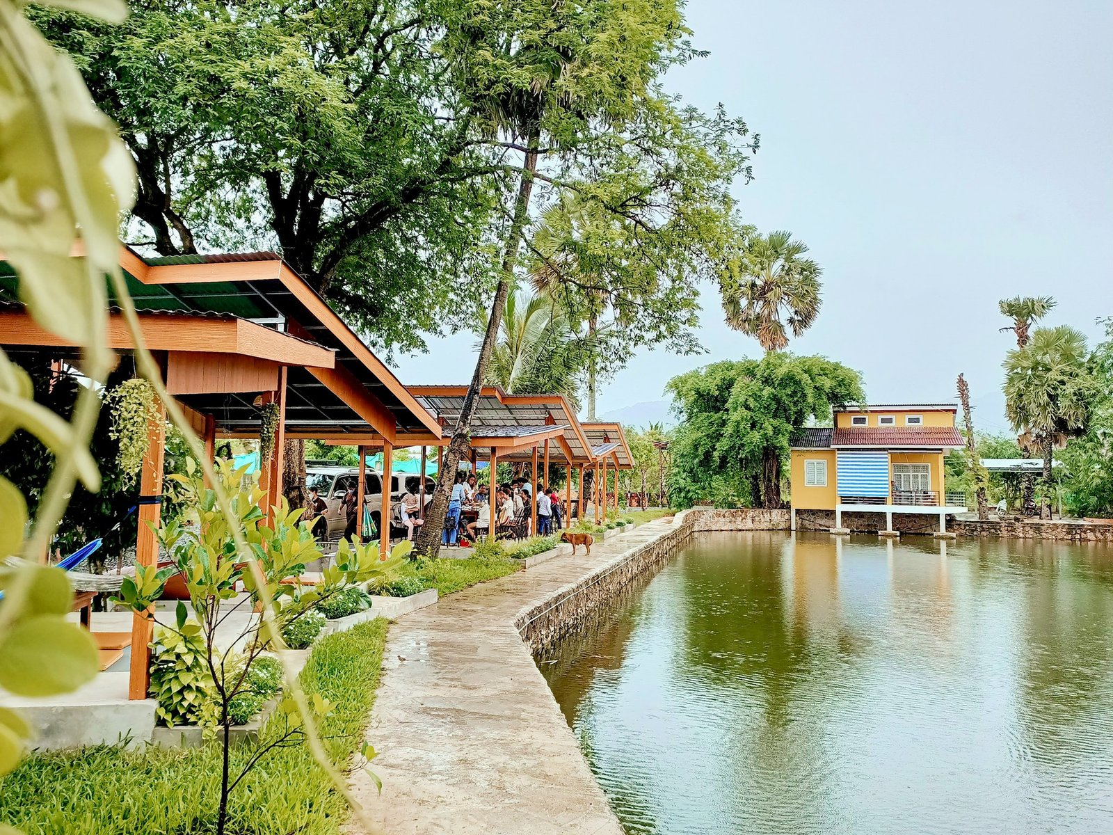 ស្រះត្នោត