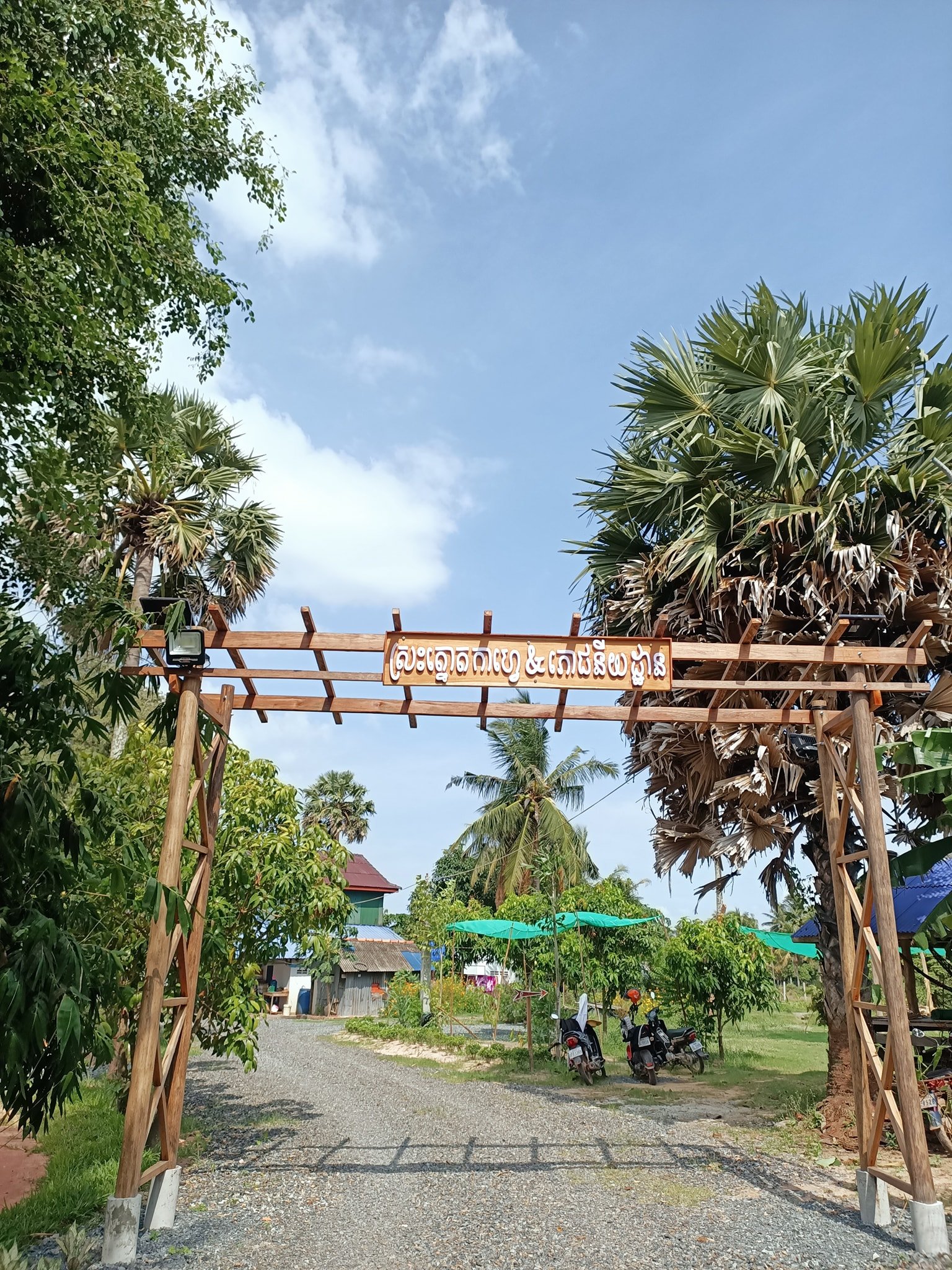 ស្រះត្នោត