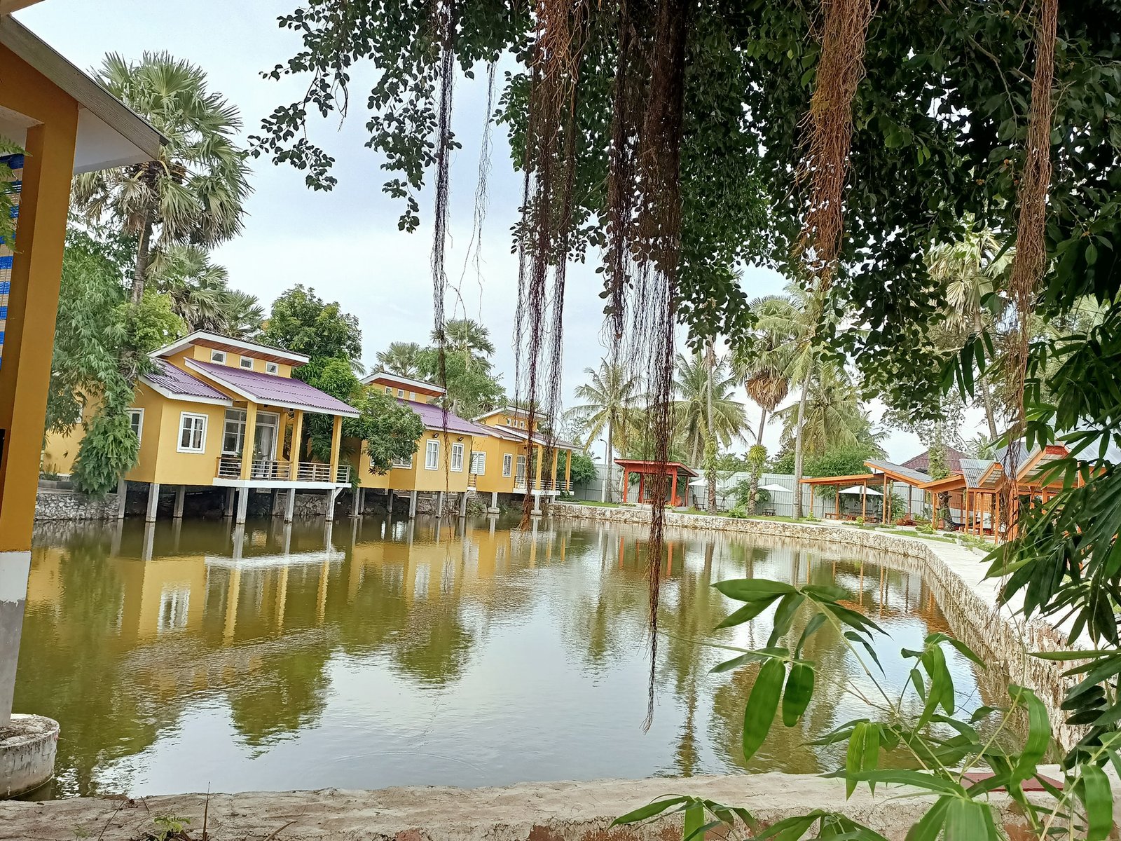 ស្រះត្នោត