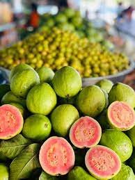 ម្ជូរមាត់ព្រែកកំពត