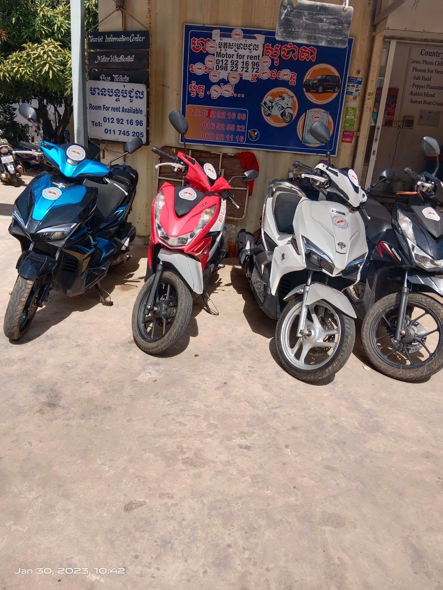 រេដប៊ុលធួរ