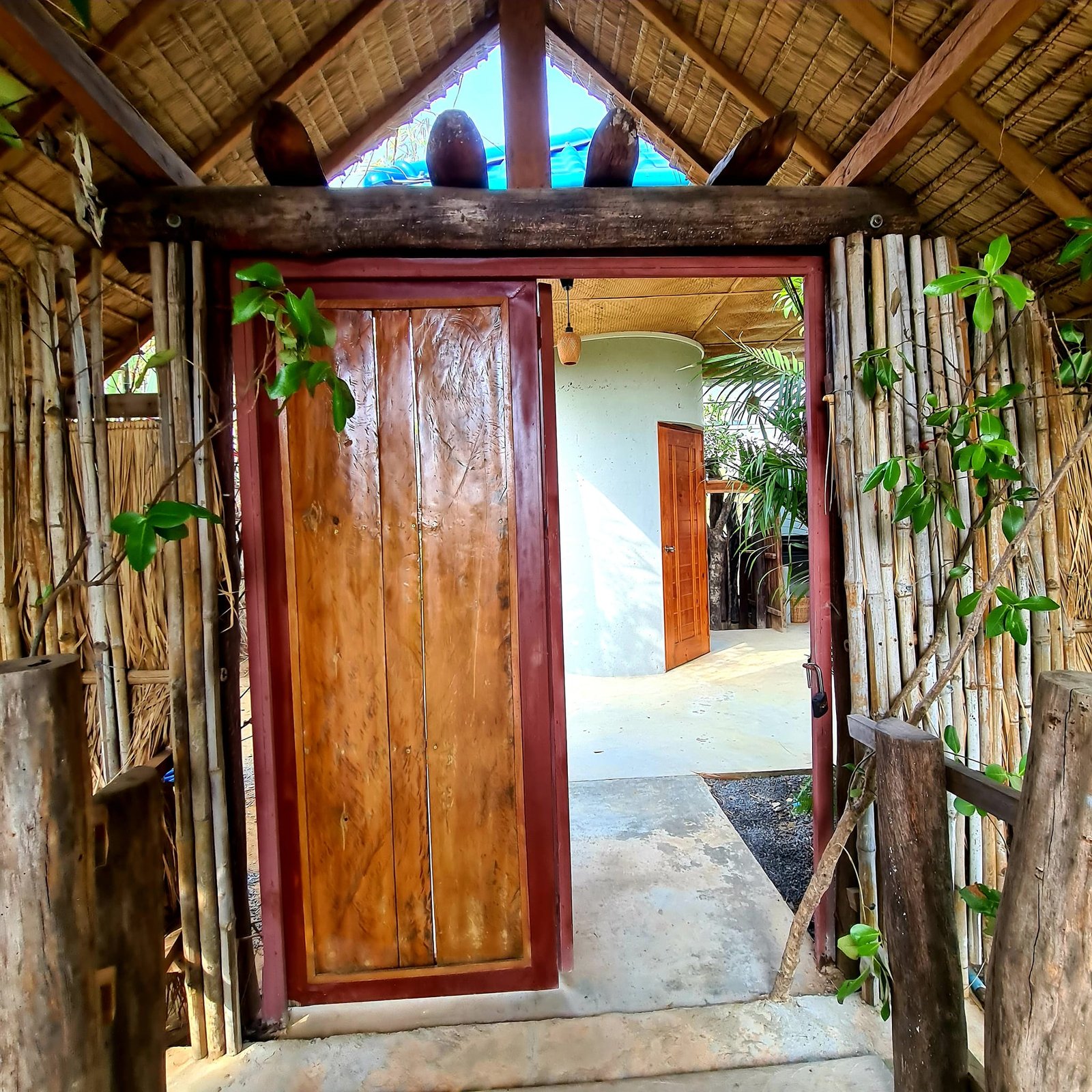 រីសតកំពតទឹកប្រៃ