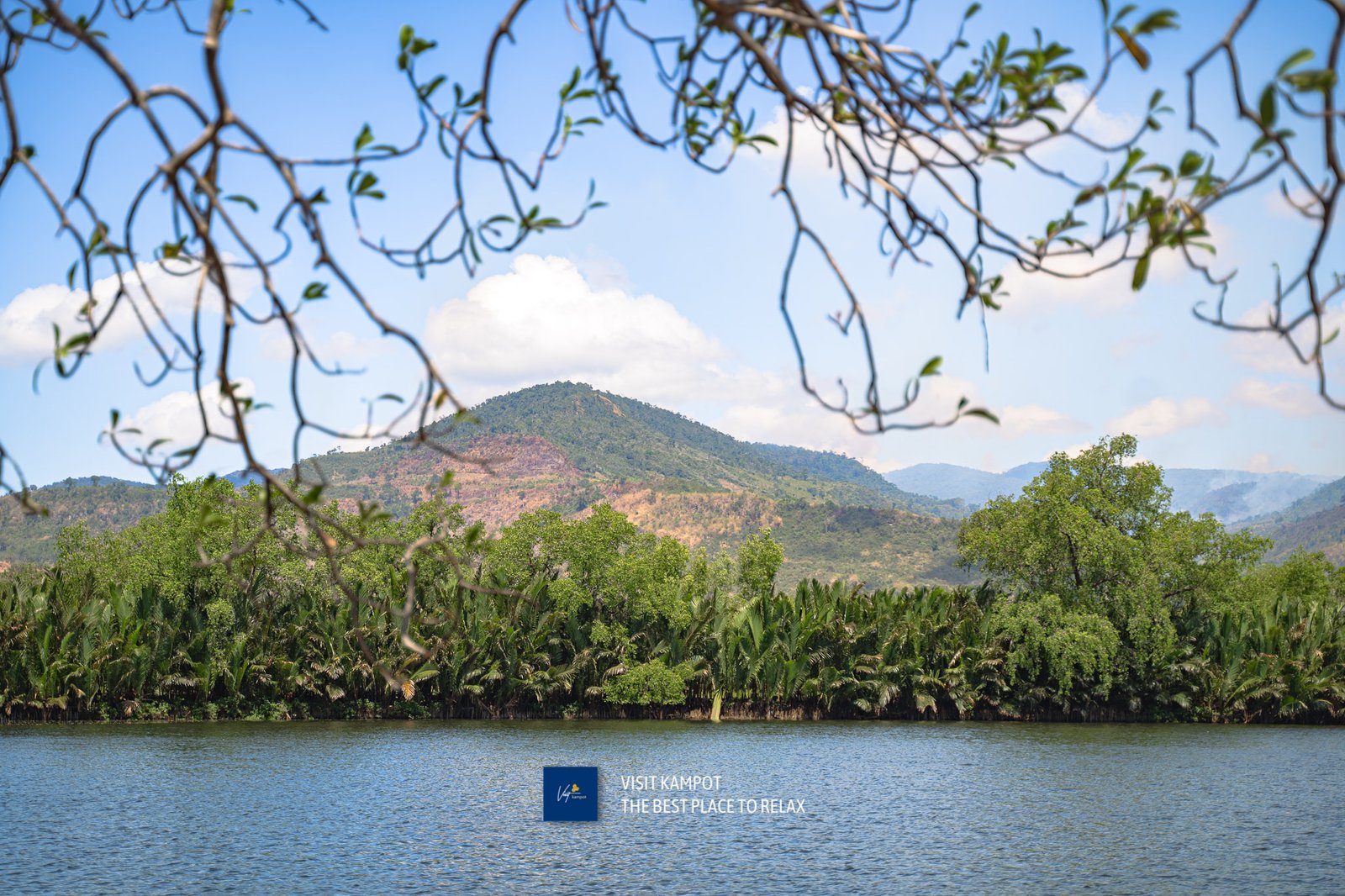 កំពតម៉ាដាមស្វីត