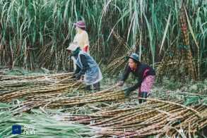 រមណីយដ្ឋានទំនប់ប្រទាក់ក្រឡា