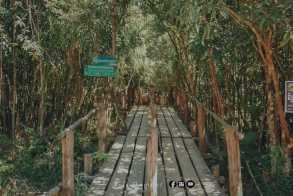 សហគមន៍ព្រែកត្នោតអន្លង់ធំ-អន្លង់ខៀវ