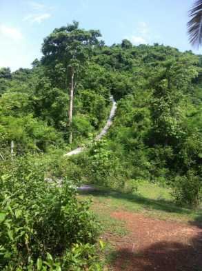 ប្រាសាទភ្នំខ្យង