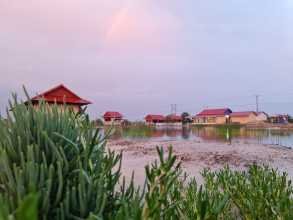អាហារដ្ឋានស្រែអំបិលធម្មជាតិ 