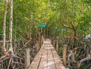 សហគមន៍នេសាទត្រពាំងរពៅ