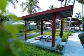ស្រះត្នោត