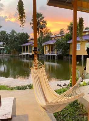 ស្រះត្នោត