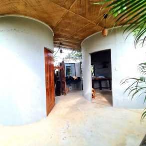 រីសតកំពតទឹកប្រៃ